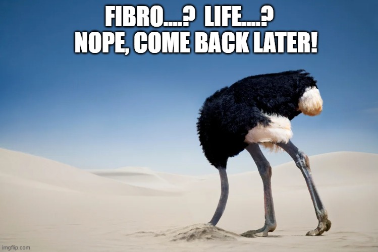 Ostrich Fibro.jpg